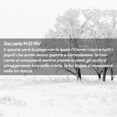 Picture 02 - Zaccaria 14:12 RIV - E questa sarà la piaga con la quale l’Eterno - Bible Verse Picture
