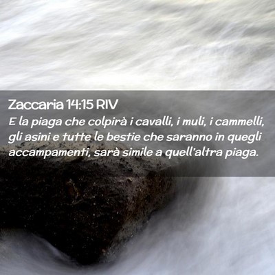 Picture 02 - Zaccaria 14:15 RIV - E la piaga che colpirà i cavalli, i muli, i - Bible Verse Picture