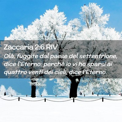 Picture 02 - Zaccaria 2:6 RIV - Olà, fuggite dal paese del settentrione, dice - Bible Verse Picture