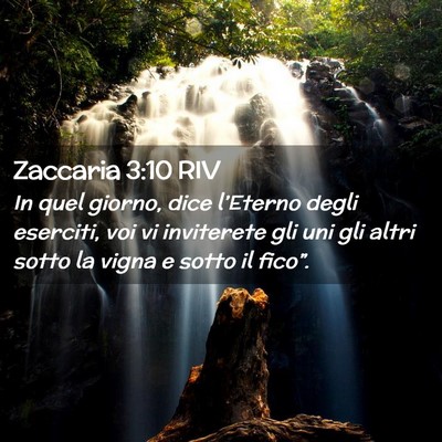 Picture 02 - Zaccaria 3:10 RIV - In quel giorno, dice l’Eterno degli eserciti, - Bible Verse Picture