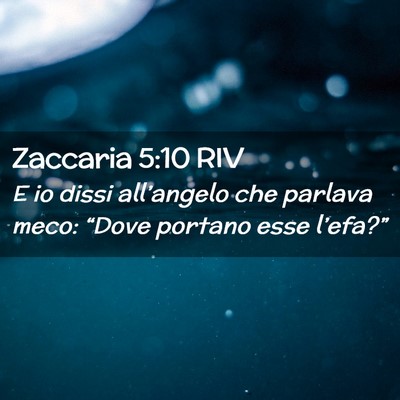 Picture 02 - Zaccaria 5:10 RIV - E io dissi all’angelo che parlava meco: “Dove - Bible Verse Picture
