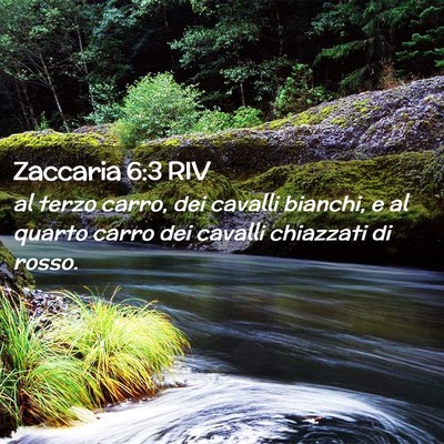 Picture 02 - Zaccaria 6:3 RIV - al terzo carro, dei cavalli bianchi, e al quarto - Bible Verse Picture