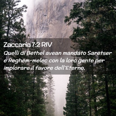 Picture 02 - Zaccaria 7:2 RIV - Quelli di Bethel avean mandato Saretser e - Bible Verse Picture