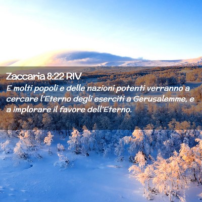 Picture 02 - Zaccaria 8:22 RIV - E molti popoli e delle nazioni potenti verranno a - Bible Verse Picture