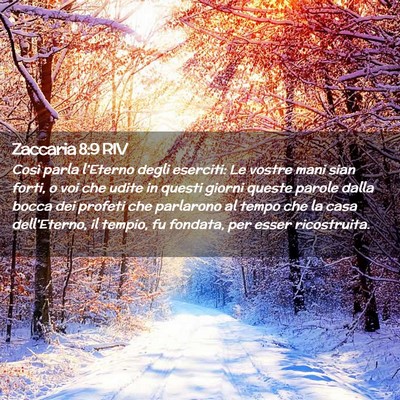 Picture 02 - Zaccaria 8:9 RIV - Così parla l’Eterno degli eserciti: Le vostre - Bible Verse Picture