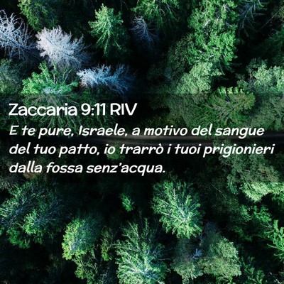 Picture 02 - Zaccaria 9:11 RIV - E te pure, Israele, a motivo del sangue del tuo - Bible Verse Picture
