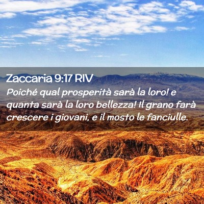 Picture 02 - Zaccaria 9:17 RIV - Poiché qual prosperità sarà la loro! e quanta - Bible Verse Picture