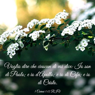 Picture 03 - 1 Corinzi 1:12 RIV - Voglio dire che ciascun di voi dice: Io son di - Bible Verse Picture
