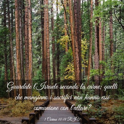 Picture 03 - 1 Corinzi 10:18 RIV - Guardate l’Israele secondo la carne; quelli che - Bible Verse Picture