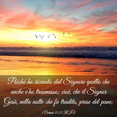 Picture 03 - 1 Corinzi 11:23 RIV - Poiché ho ricevuto dal Signore quello che anche - Bible Verse Picture