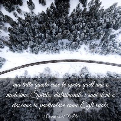 Picture 03 - 1 Corinzi 12:11 RIV - ma tutte queste cose le opera quell’uno e - Bible Verse Picture