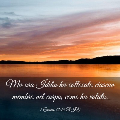 Picture 03 - 1 Corinzi 12:18 RIV - Ma ora Iddio ha collocato ciascun membro nel - Bible Verse Picture