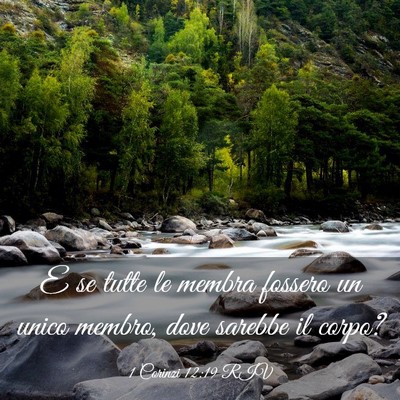 Picture 03 - 1 Corinzi 12:19 RIV - E se tutte le membra fossero un unico membro, - Bible Verse Picture