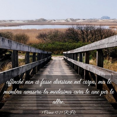 Picture 03 - 1 Corinzi 12:25 RIV - affinché non ci fosse divisione nel corpo, ma le - Bible Verse Picture