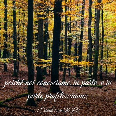 Picture 03 - 1 Corinzi 13:9 RIV - poiché noi conosciamo in parte, e in parte - Bible Verse Picture