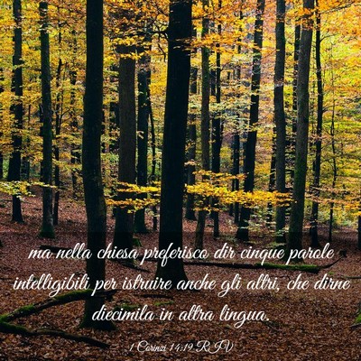 Picture 03 - 1 Corinzi 14:19 RIV - ma nella chiesa preferisco dir cinque parole - Bible Verse Picture