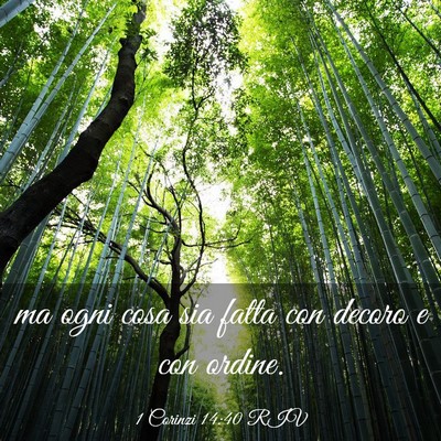 Picture 03 - 1 Corinzi 14:40 RIV - ma ogni cosa sia fatta con decoro e con - Bible Verse Picture