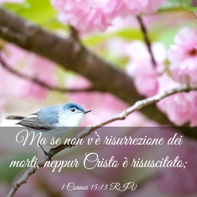 Picture 03 - 1 Corinzi 15:13 RIV - Ma se non v’è risurrezione dei morti, neppur - Bible Verse Picture