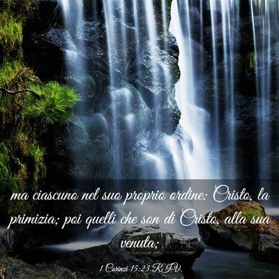 Picture 03 - 1 Corinzi 15:23 RIV - ma ciascuno nel suo proprio ordine: Cristo, la - Bible Verse Picture