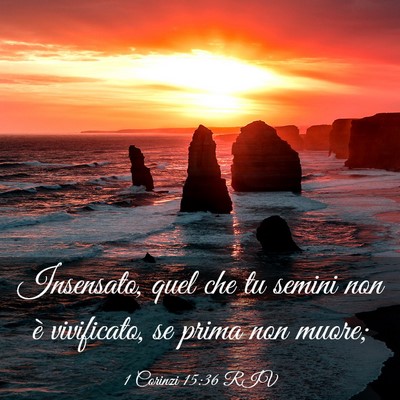 Picture 03 - 1 Corinzi 15:36 RIV - Insensato, quel che tu semini non è vivificato, - Bible Verse Picture