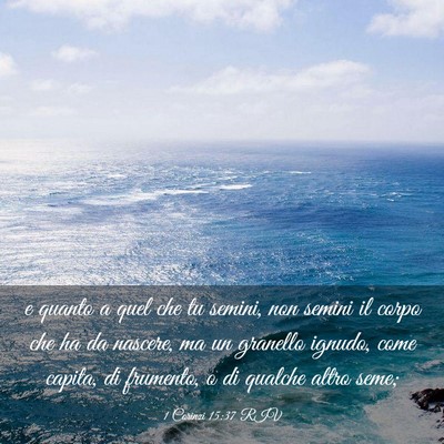 Picture 03 - 1 Corinzi 15:37 RIV - e quanto a quel che tu semini, non semini il - Bible Verse Picture