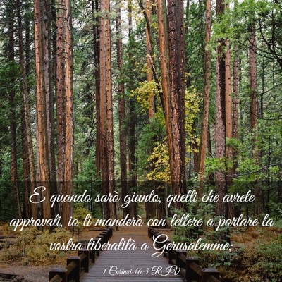 Picture 03 - 1 Corinzi 16:3 RIV - E quando sarò giunto, quelli che avrete - Bible Verse Picture
