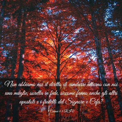 Picture 03 - 1 Corinzi 9:5 RIV - Non abbiamo noi il diritto di condurre attorno - Bible Verse Picture