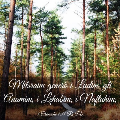 Picture 03 - 1 Cronache 1:11 RIV - Mitsraim generò i Ludim, gli Anamim, i Lehabim, - Bible Verse Picture
