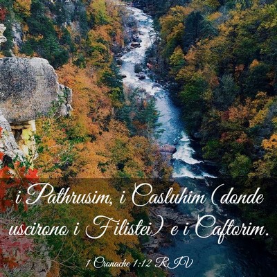 Picture 03 - 1 Cronache 1:12 RIV - i Pathrusim, i Casluhim (donde uscirono i - Bible Verse Picture