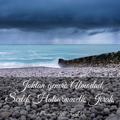 Picture 03 - 1 Cronache 1:20 RIV - Joktan generò Almodad, Scelef, Hatsarmaveth, - Bible Verse Picture
