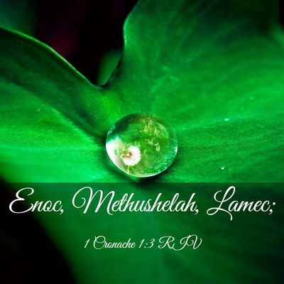 Picture 03 - 1 Cronache 1:3 RIV - Enoc, Methushelah, - Bible Verse Picture