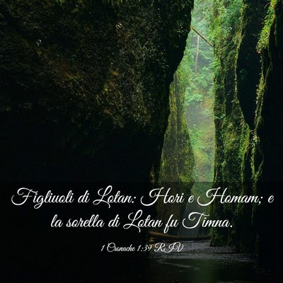 Picture 03 - 1 Cronache 1:39 RIV - Figliuoli di Lotan: Hori e Homam; e la sorella di - Bible Verse Picture