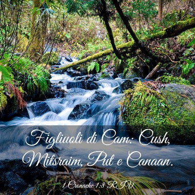 Picture 03 - 1 Cronache 1:8 RIV - Figliuoli di Cam: Cush, Mitsraim, Put e - Bible Verse Picture