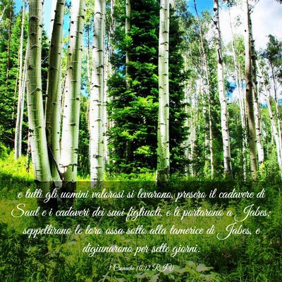 Picture 03 - 1 Cronache 10:12 RIV - e tutti gli uomini valorosi si levarono, presero - Bible Verse Picture
