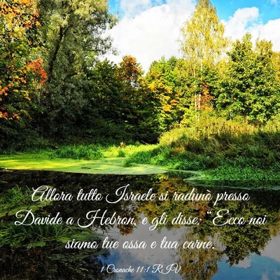 Picture 03 - 1 Cronache 11:1 RIV - Allora tutto Israele si radunò presso Davide a - Bible Verse Picture