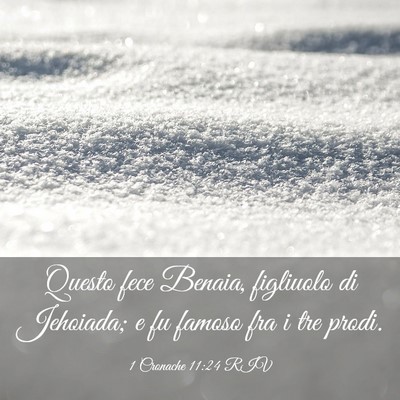 Picture 03 - 1 Cronache 11:24 RIV - Questo fece Benaia, figliuolo di Jehoiada; e fu - Bible Verse Picture