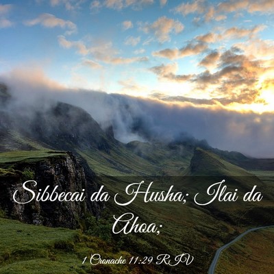 Picture 03 - 1 Cronache 11:29 RIV - Sibbecai da Husha; Ilai da - Bible Verse Picture