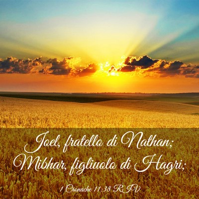 Picture 03 - 1 Cronache 11:38 RIV - Joel, fratello di Nathan; Mibhar, figliuolo di - Bible Verse Picture