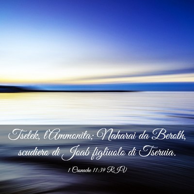 Picture 03 - 1 Cronache 11:39 RIV - Tselek, l’Ammonita; Naharai da Beroth, scudiero - Bible Verse Picture