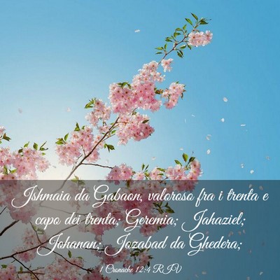 Picture 03 - 1 Cronache 12:4 RIV - Jshmaia da Gabaon, valoroso fra i trenta e capo - Bible Verse Picture