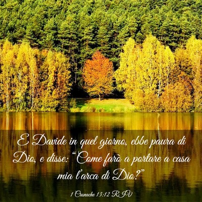 Picture 03 - 1 Cronache 13:12 RIV - E Davide in quel giorno, ebbe paura di Dio, e - Bible Verse Picture