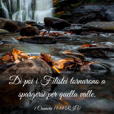 Picture 03 - 1 Cronache 14:13 RIV - Di poi i Filistei tornarono a spargersi per - Bible Verse Picture