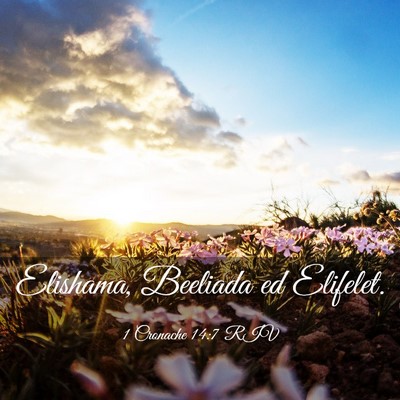Picture 03 - 1 Cronache 14:7 RIV - Elishama, Beeliada ed - Bible Verse Picture