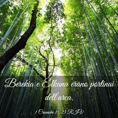 Picture 03 - 1 Cronache 15:23 RIV - Berekia e Elkana erano portinai - Bible Verse Picture