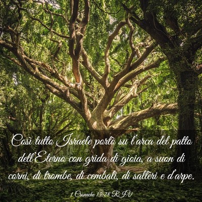 Picture 03 - 1 Cronache 15:28 RIV - Così tutto Israele portò su l’arca del patto - Bible Verse Picture