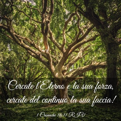 Picture 03 - 1 Cronache 16:11 RIV - Cercate l’Eterno e la sua forza, cercate del - Bible Verse Picture