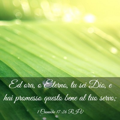 Picture 03 - 1 Cronache 17:26 RIV - Ed ora, o Eterno, tu sei Dio, e hai promesso - Bible Verse Picture