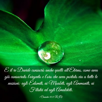 Picture 03 - 1 Cronache 18:11 RIV - E il re Davide consacrò anche quelli - Bible Verse Picture