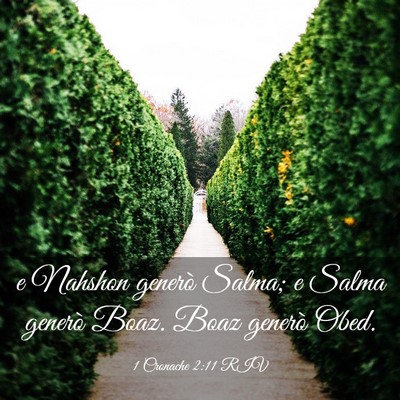 Picture 03 - 1 Cronache 2:11 RIV - e Nahshon generò Salma; e Salma generò Boaz. - Bible Verse Picture