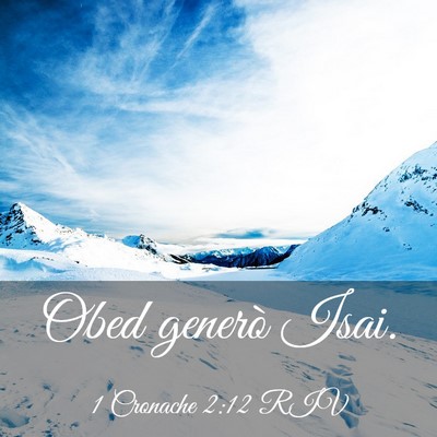 Picture 03 - 1 Cronache 2:12 RIV - Obed generò - Bible Verse Picture